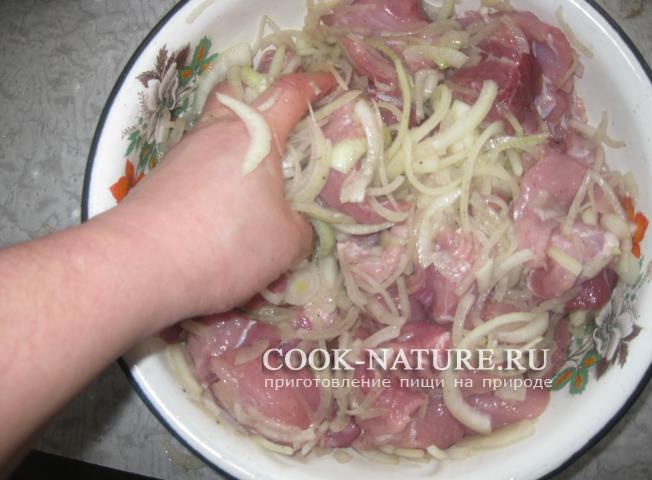 рецепт шашлыка из свинины